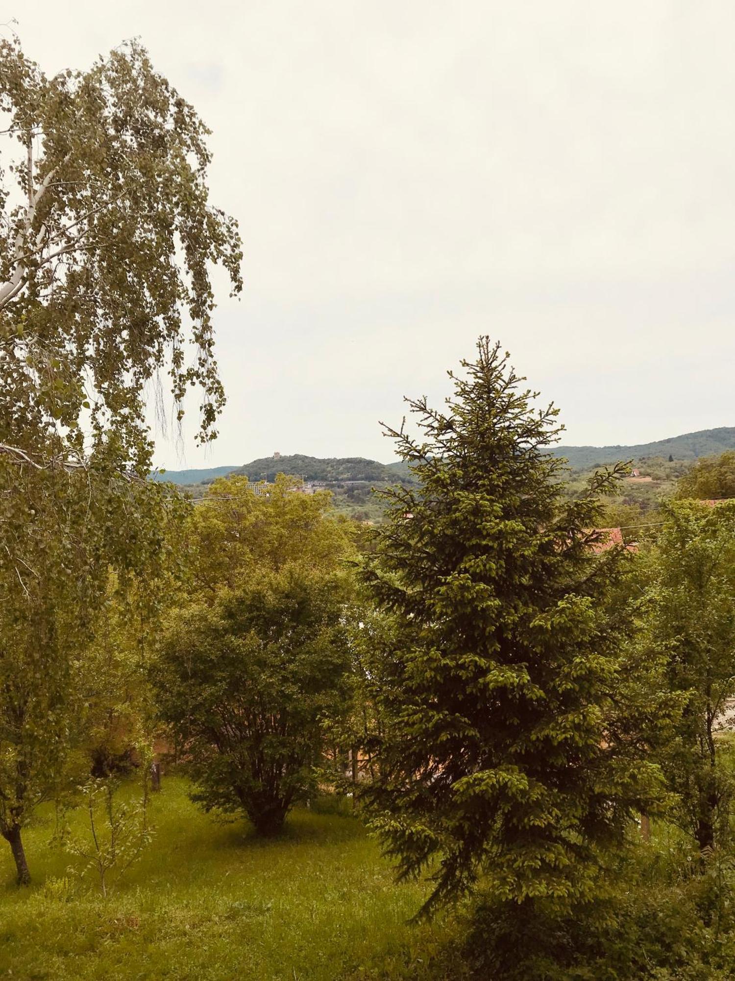 Vikend Kuca Betula Hotel Vrdnik Exterior photo